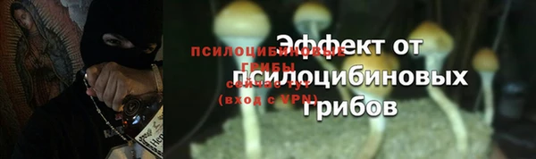 экстази Алексеевка