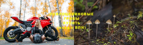 бутират Алексин