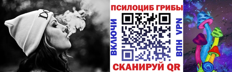 Галлюциногенные грибы Psilocybine cubensis гидра как войти Ипатово